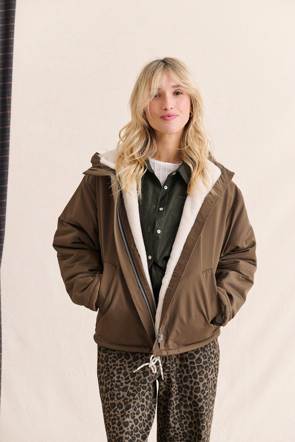 Guzmania chocolate parka