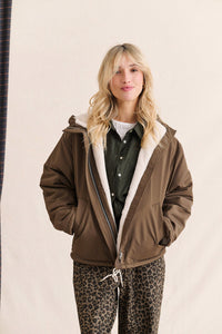 Guzmania chocolate parka