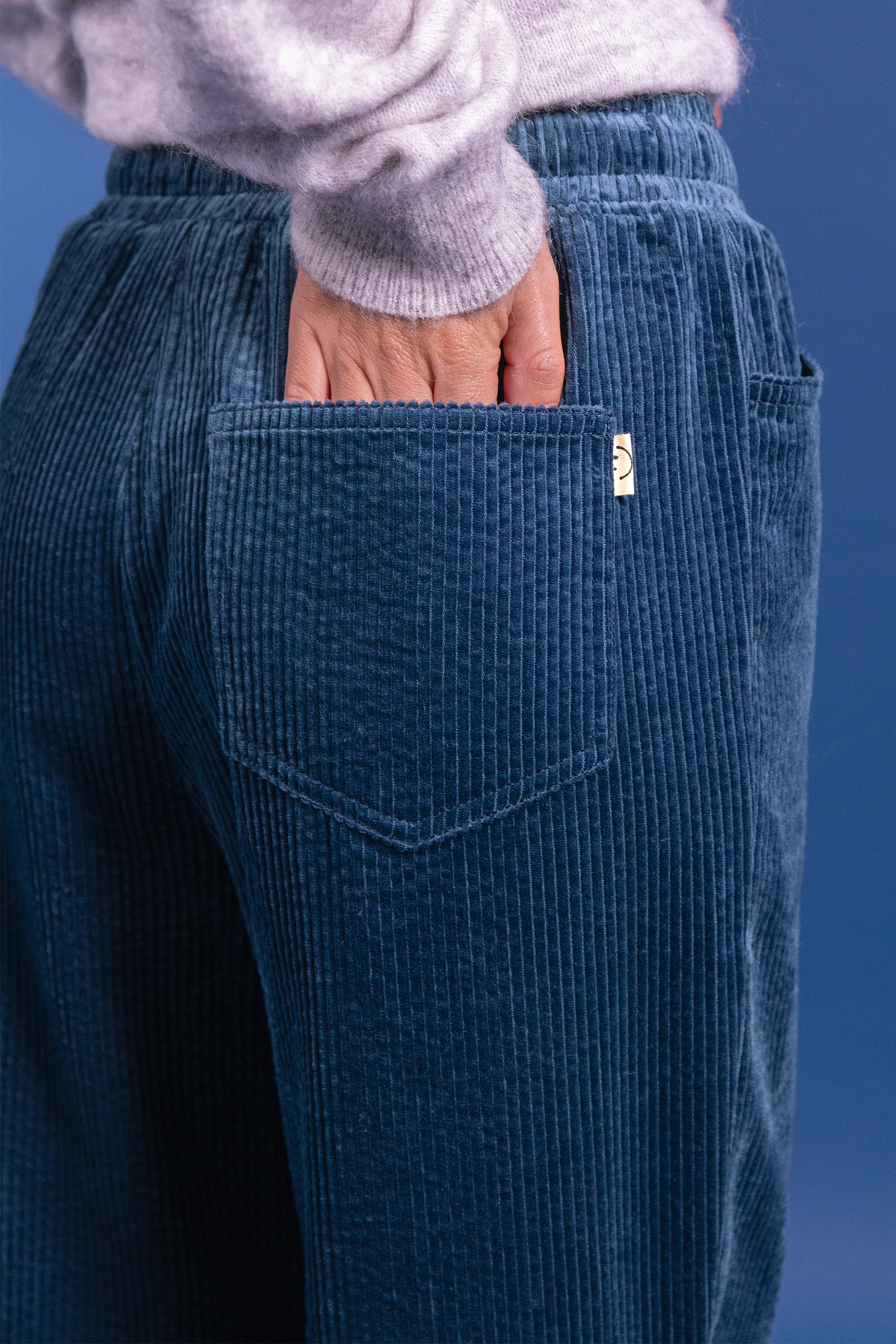 Pantalon Primo en velours bleu